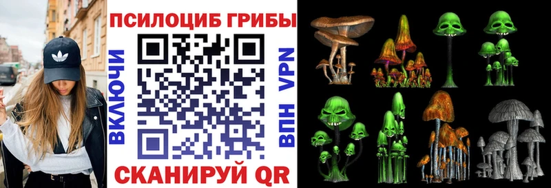 МЕГА ссылка  Иркутск  Галлюциногенные грибы Cubensis 