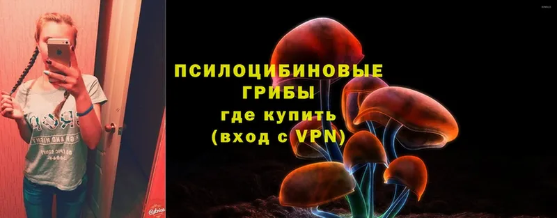 Псилоцибиновые грибы Psilocybe  Иркутск 