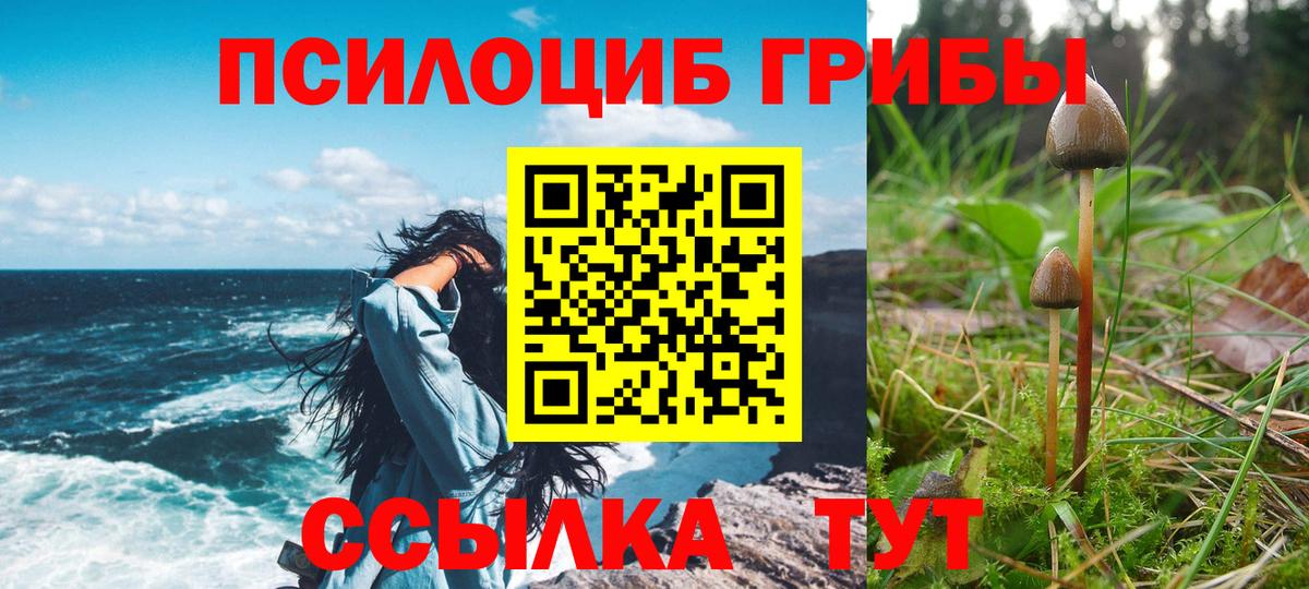 хочу наркоту  Вход с VPN  Иркутск  Галлюциногенные грибы мухоморы 