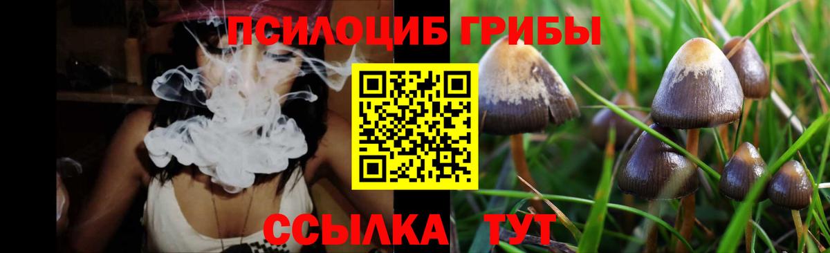 Галлюциногенные грибы мухоморы Иркутск