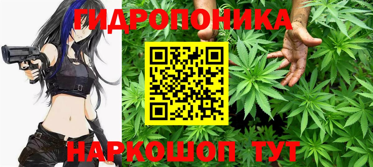 Марихуана White Widow  Конопля Amnesia  Канабис LSD WEED  Вход с VPN  Иркутск  Шишки марихуана сатива 